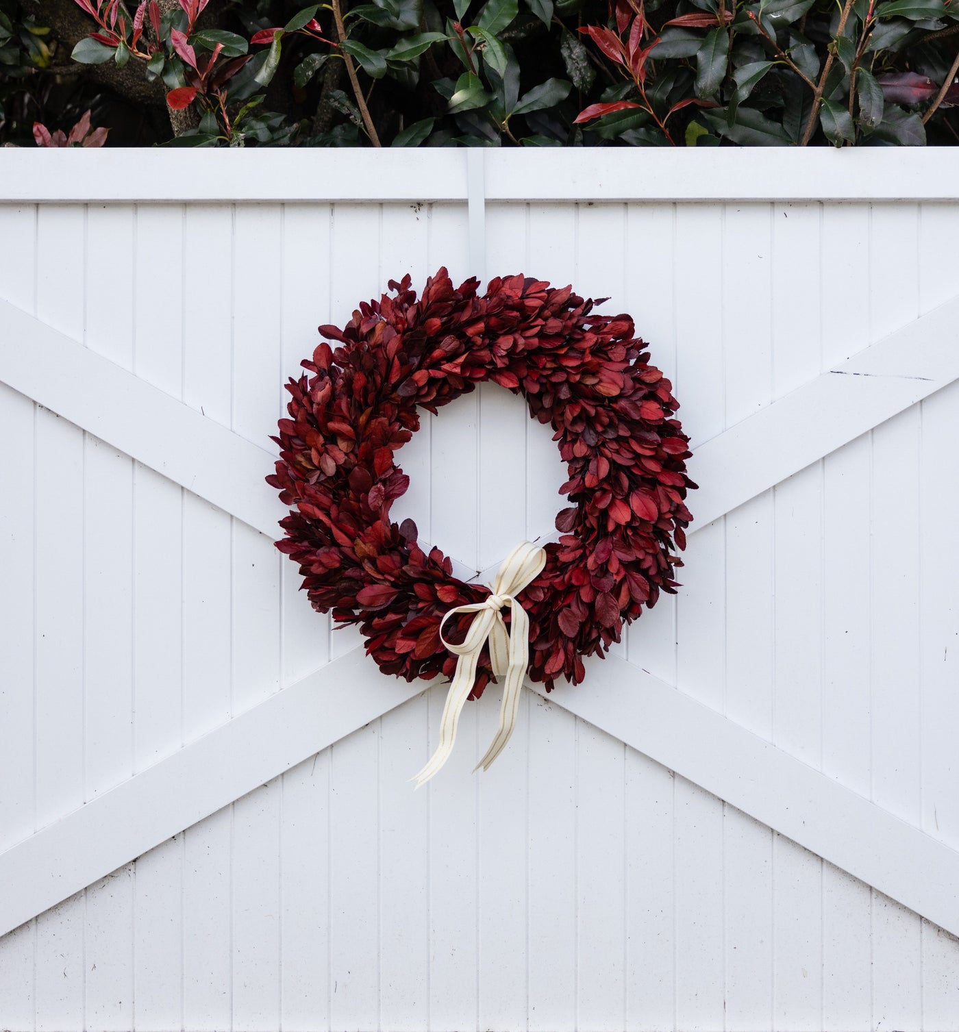Preserved Laurel Wreath (Stockist)